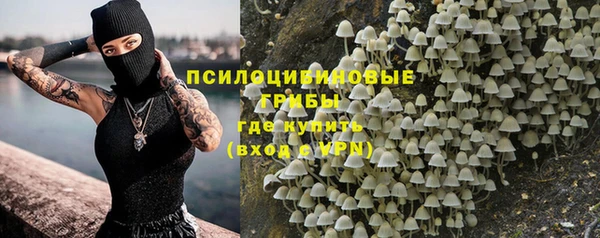 дживик Алексеевка