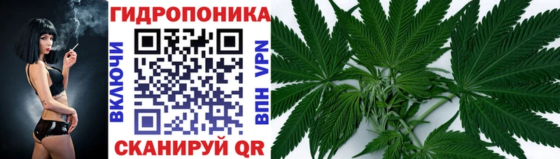 Конопля марихуана  Армянск 